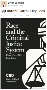 Deciding-Race and the Criminal Justice System